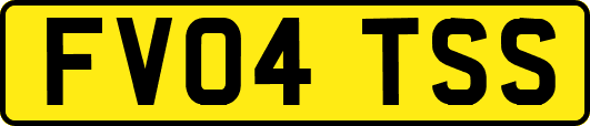 FV04TSS