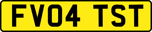 FV04TST