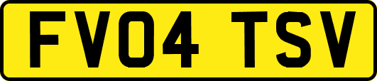 FV04TSV
