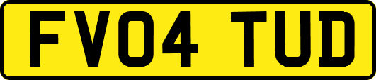 FV04TUD