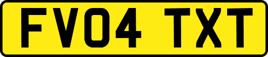 FV04TXT