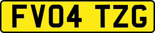 FV04TZG