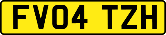 FV04TZH