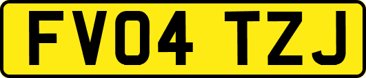 FV04TZJ