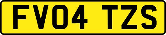 FV04TZS