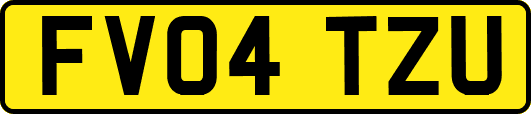 FV04TZU