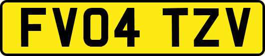 FV04TZV