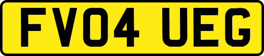 FV04UEG