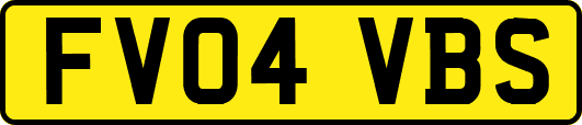 FV04VBS