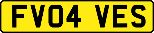 FV04VES