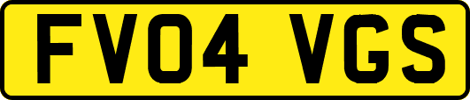 FV04VGS