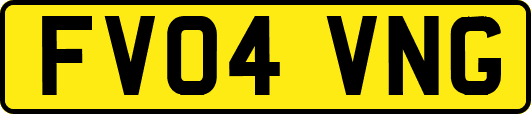 FV04VNG