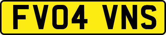 FV04VNS