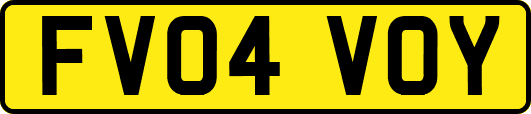 FV04VOY