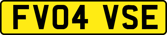 FV04VSE