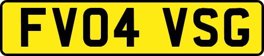 FV04VSG