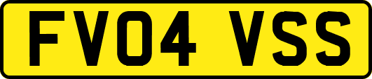 FV04VSS