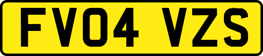 FV04VZS