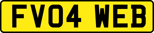 FV04WEB
