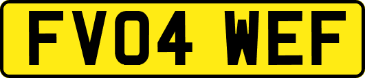 FV04WEF