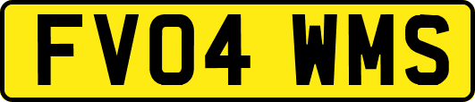 FV04WMS