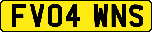 FV04WNS