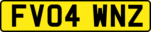 FV04WNZ