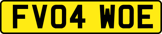 FV04WOE