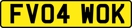 FV04WOK