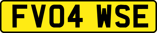 FV04WSE