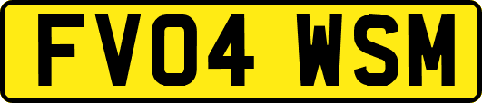 FV04WSM