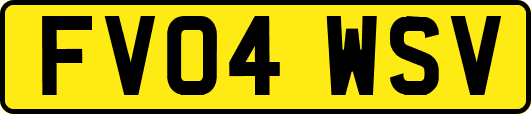 FV04WSV