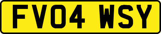 FV04WSY