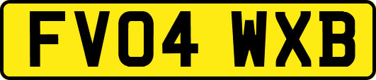 FV04WXB