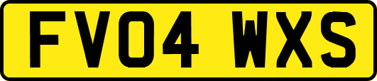 FV04WXS