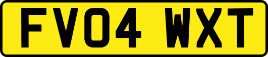 FV04WXT