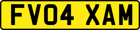 FV04XAM
