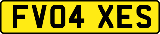 FV04XES