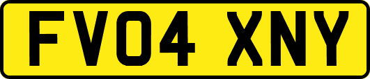 FV04XNY