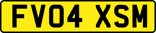 FV04XSM