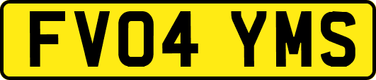 FV04YMS