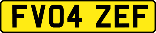 FV04ZEF