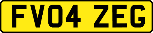 FV04ZEG