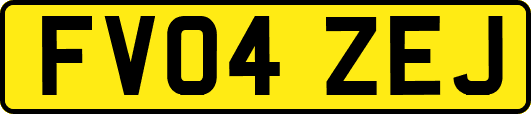 FV04ZEJ