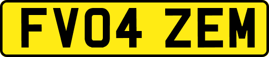 FV04ZEM