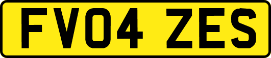 FV04ZES
