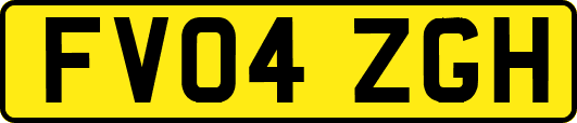 FV04ZGH