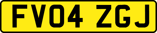 FV04ZGJ