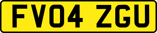 FV04ZGU