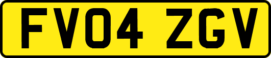 FV04ZGV